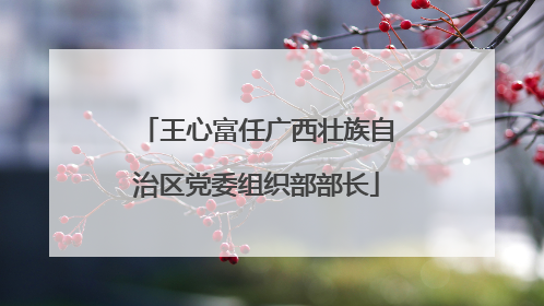 王心富任广西壮族自治区党委组织部部长