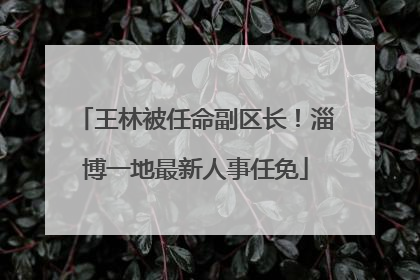 王林被任命副区长！淄博一地最新人事任免