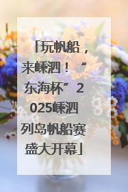 玩帆船，来嵊泗！“东海杯”2025嵊泗列岛帆船赛盛大开幕