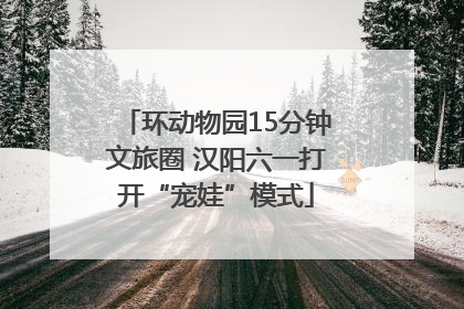 环动物园15分钟文旅圈 汉阳六一打开“宠娃”模式
