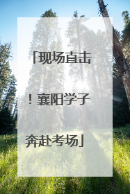 现场直击！襄阳学子奔赴考场