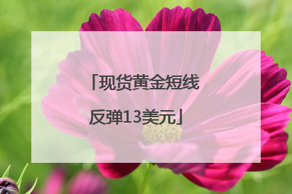 现货黄金短线反弹13美元