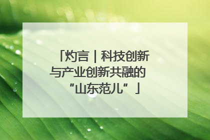 灼言｜科技创新与产业创新共融的“山东范儿”