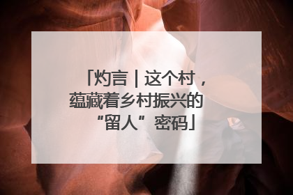 灼言｜这个村，蕴藏着乡村振兴的“留人”密码