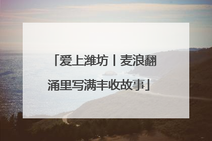 爱上潍坊丨麦浪翻涌里写满丰收故事