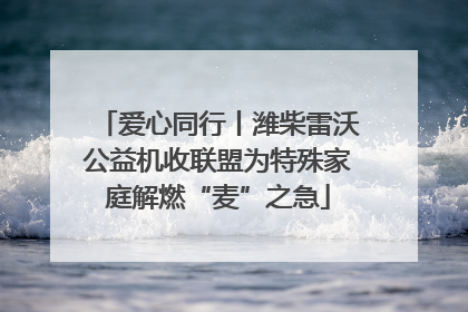 爱心同行丨潍柴雷沃公益机收联盟为特殊家庭解燃“麦”之急