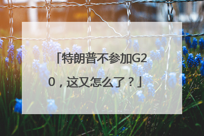 特朗普不参加G20，这又怎么了？