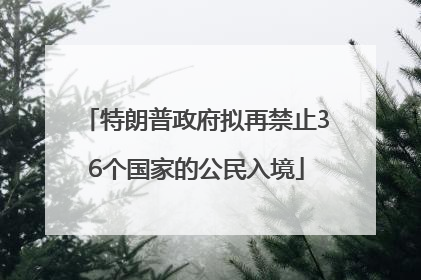 特朗普政府拟再禁止36个国家的公民入境
