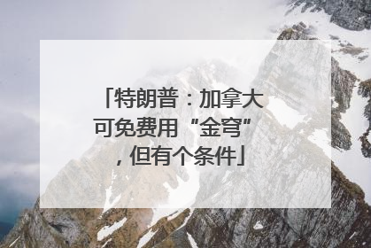 特朗普：加拿大可免费用“金穹”，但有个条件