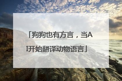 狗狗也有方言，当AI开始翻译动物语言