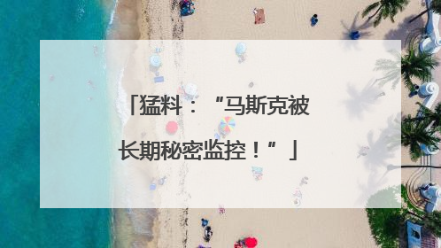 猛料：“马斯克被长期秘密监控！”