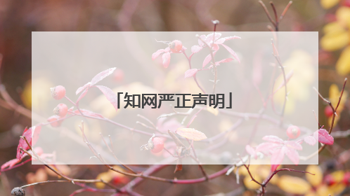 知网严正声明