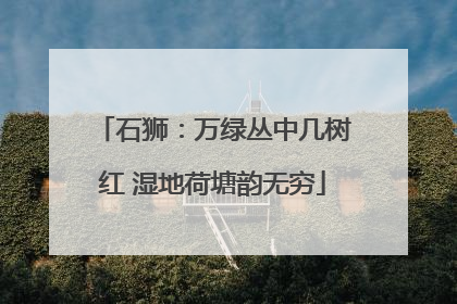 石狮：万绿丛中几树红 湿地荷塘韵无穷