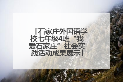石家庄外国语学校七年级4班“我爱石家庄”社会实践活动成果展示