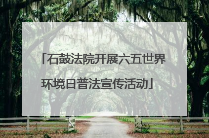石鼓法院开展六五世界环境日普法宣传活动