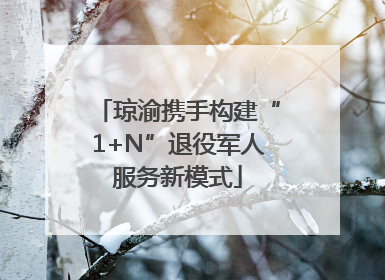 琼渝携手构建“1+N”退役军人服务新模式