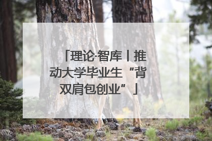 理论·智库丨推动大学毕业生“背双肩包创业”