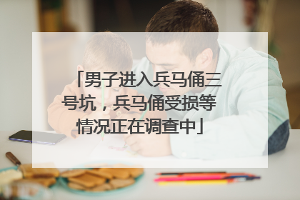 男子进入兵马俑三号坑，兵马俑受损等情况正在调查中