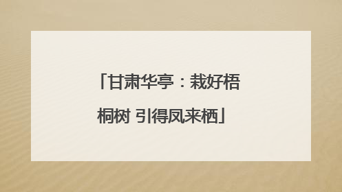 甘肃华亭：栽好梧桐树 引得凤来栖