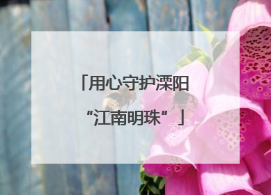 用心守护溧阳“江南明珠”