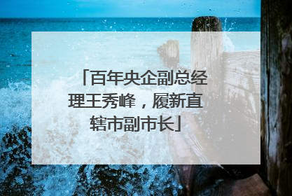 百年央企副总经理王秀峰，履新直辖市副市长