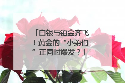 白银与铂金齐飞！黄金的“小弟们”正同时爆发？