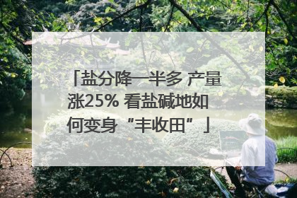 盐分降一半多 产量涨25% 看盐碱地如何变身“丰收田”