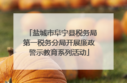 盐城市阜宁县税务局第一税务分局开展廉政警示教育系列活动