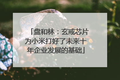 盘和林：玄戒芯片为小米打好了未来十年企业发展的基础