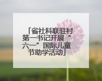 省社科联驻村第一书记开展“六一”国际儿童节助学活动