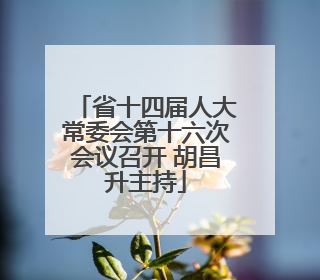 省十四届人大常委会第十六次会议召开 胡昌升主持