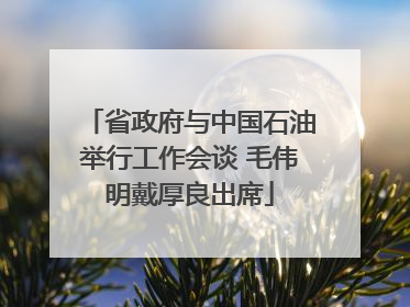 省政府与中国石油举行工作会谈 毛伟明戴厚良出席