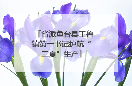 省派鱼台县王鲁镇第一书记护航“三夏”生产