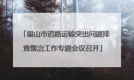 眉山市道路运输突出问题排查整治工作专题会议召开