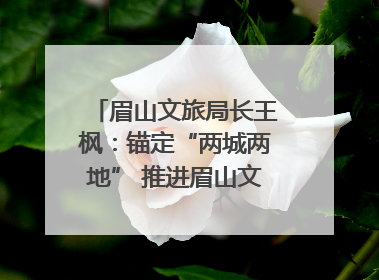 眉山文旅局长王枫：锚定“两城两地” 推进眉山文旅融合高质量发展｜文旅局长说