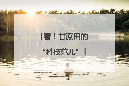 看！甘蔗田的“科技范儿”