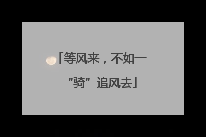 等风来，不如一“骑”追风去