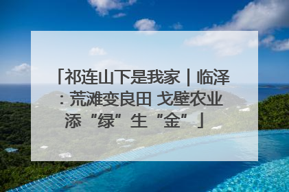祁连山下是我家｜临泽：荒滩变良田 戈壁农业添“绿”生“金”