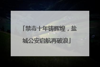 禁毒十年铸辉煌，盐城公安启航再破浪