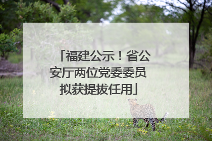 福建公示！省公安厅两位党委委员拟获提拔任用