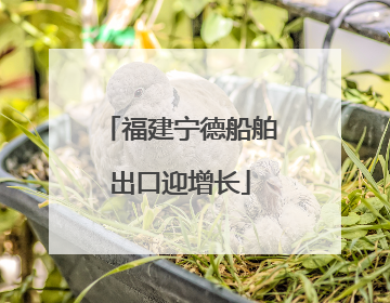 福建宁德船舶出口迎增长