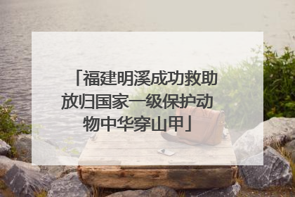福建明溪成功救助放归国家一级保护动物中华穿山甲