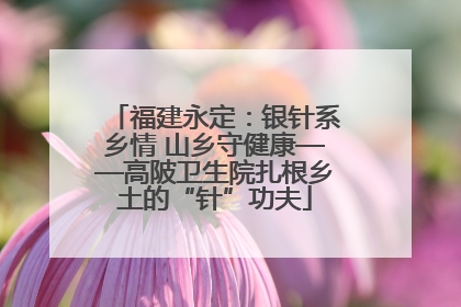 福建永定：银针系乡情 山乡守健康——高陂卫生院扎根乡土的“针”功夫