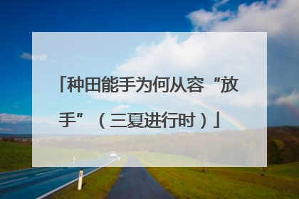 种田能手为何从容“放手”（三夏进行时）