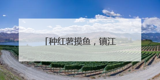 种红薯摸鱼，镇江这家学校在田间池畔见证学生快乐成长