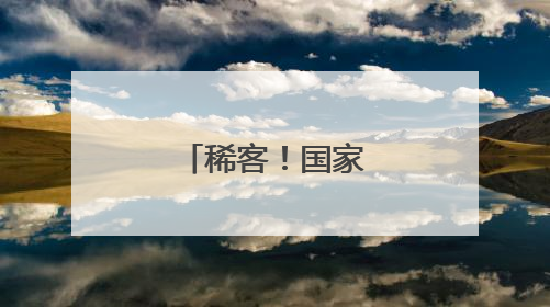 稀客！国家一级保护动物穿山甲获救