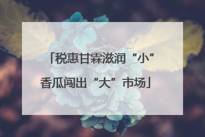 税惠甘霖滋润“小”香瓜闯出“大”市场