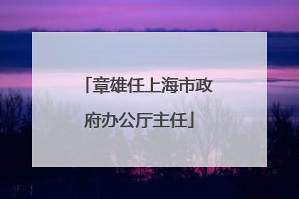 章雄任上海市政府办公厅主任