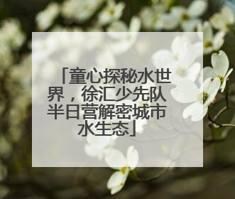 童心探秘水世界，徐汇少先队半日营解密城市水生态
