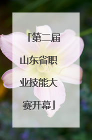 第二届山东省职业技能大赛开幕
